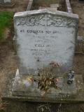 image of grave number 238542
